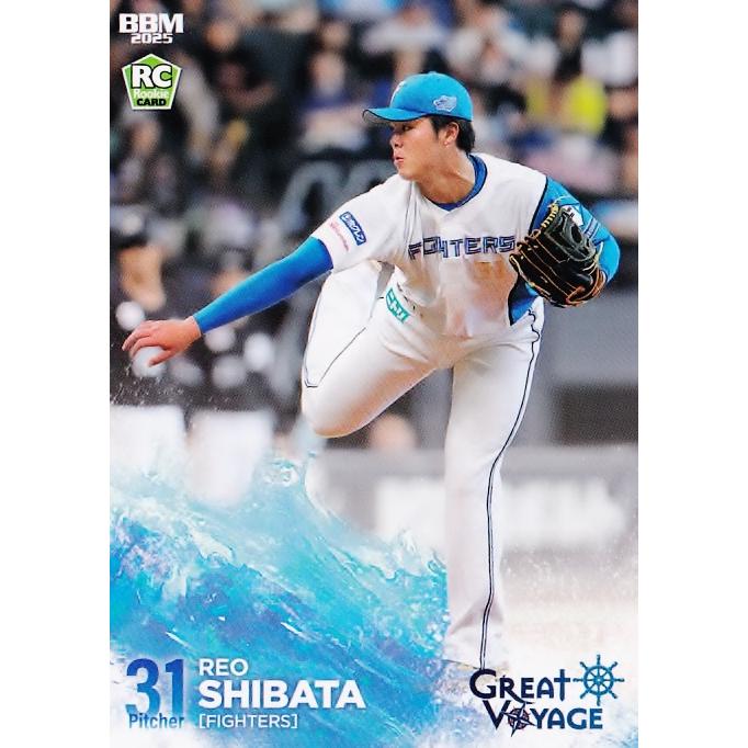 6 【柴田獅子(ROOKIE)】BBM 2025 北海道日本ハムファイターズ GREAT