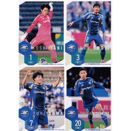 レギュラーコンプリートセット/全39種(＋ノベルティーカード1種