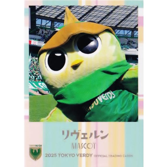 33 【リヴェルン】[クラブ発行]2025 東京ヴェルディ オフィシャル