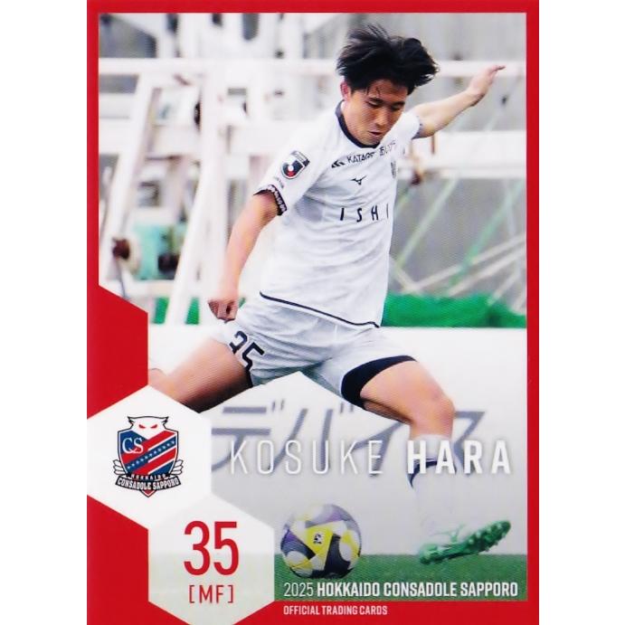 2022 北海道コンサドーレ札幌 直筆サインカード 中島大嘉 2022 北海道