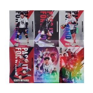 レギュラー(17種)＋スペシャル(2種)コンプリートセット/全19種