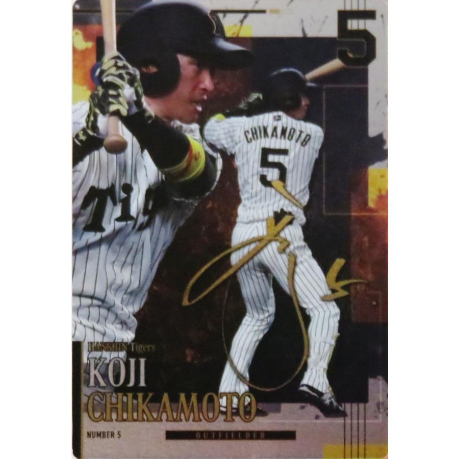 超レア！阪神タイガースウエハース！写真型プロマイド52枚等計119枚