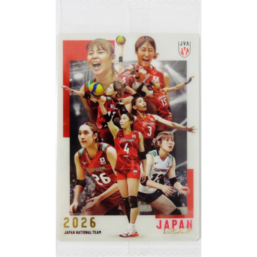 29 【集合A】バンダイ 2026 JAPAN NATIONAL VOLLEYBALL TEAM