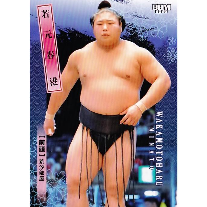 11 【若元春 港】BBM2026 大相撲カード レギュラー : スポーツカード