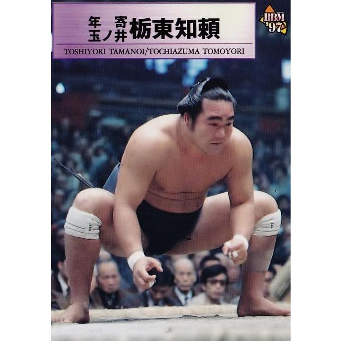 85 【年寄・玉ノ井 栃東】BBM 1997 大相撲カード レギュラー [年寄