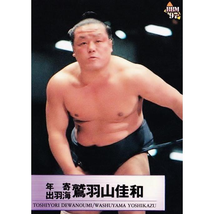 97 【年寄・出羽海 鷲羽山】BBM 1997 大相撲カード レギュラー [年寄