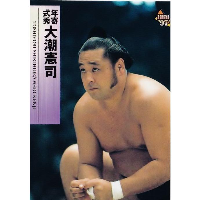 大相撲カード1997 53 【彩豪 一義】BBM 1997 大相撲カード レギュラー : スポーツカード