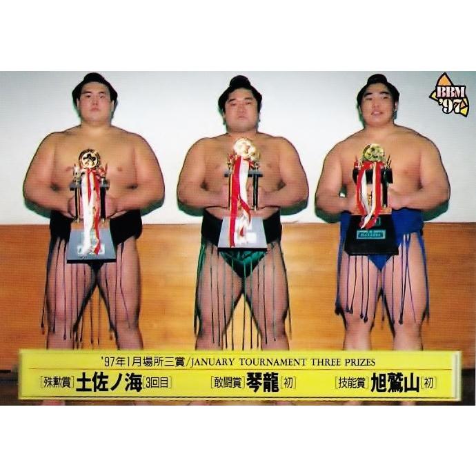 146 【97年1月場所三賞(土佐ノ海/琴龍/旭鷲山)】BBM 1997 大相撲カード