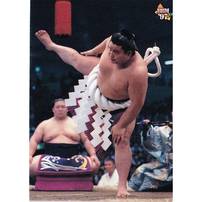 P-6 【貴乃花 光司】BBM 1999 大相撲カード インサート [横綱 P-6 【貴乃花 光司】BBM 1999 大相撲カード インサート [横綱