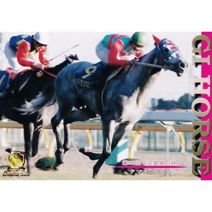 G116 【タマモクロス】1998 日刊スポーツ Gホースカード・春