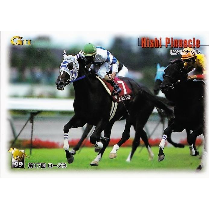 15 【ヒシピナクル】バンダイ1999 サラブレッドカード '99下半期