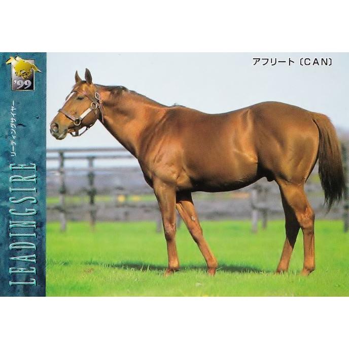 113 【アフリート】バンダイ1999 サラブレッドカード '99下半期