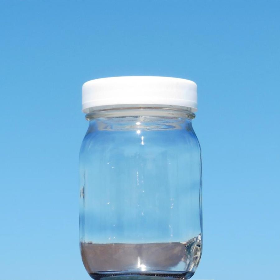 保存瓶 M370瓶 24本入 500g 蜂蜜瓶 : ジャム瓶のちゅうくう