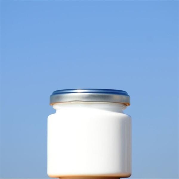 ジャム瓶 ギョク瓶 DS100丸 84本入 : ジャム瓶のちゅうくう