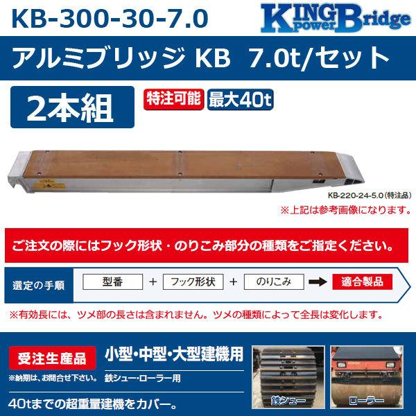 70%以上節約 法人限定 昭和ブリッジ アルミブリッジ GP-S型 0.75t 1本 300幅 セーフベロ GP-285-30-075S-1 (法人限定)昭和ブリッジ アルミブリッジ SXN-300 7.0t/2本セット・300幅 鉄シュー・ゴムシュー兼用