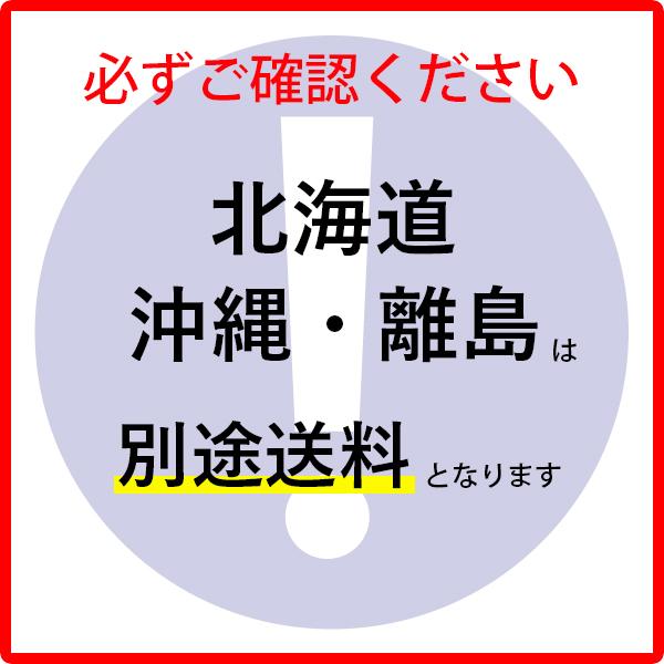 飛散防止フィルム　透明ガラス用 SN50 50ミクロン 1830mm×30m 施工業者様向け ロール販売 窓ガラス防災シート UVカット GLAFIL_5