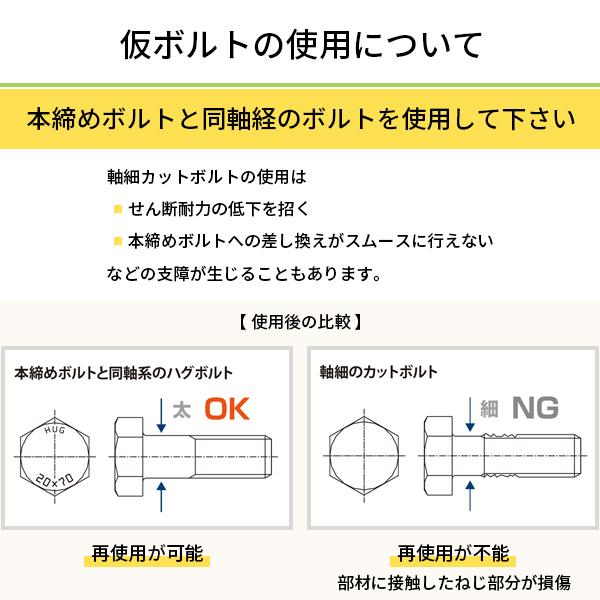 HugBolt ハグボルト 仮締めボルト 60個入 M20 首下100mm tkn 仮ボルト