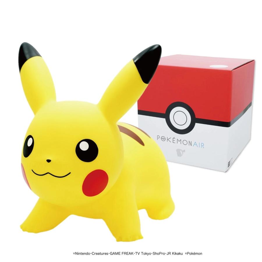 公認店】【ポケモンエアー正規品】お誕生日ギフト POKEMON AIR 公認店】【ポケモンエアー正規品】お誕生日ギフト POKEMON AIR