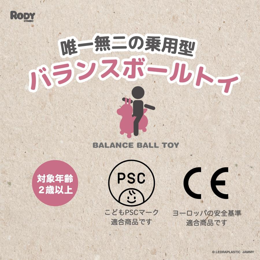 ロディ（RODY） 【公式】『専門家推薦』体幹・バランス感覚を育てる