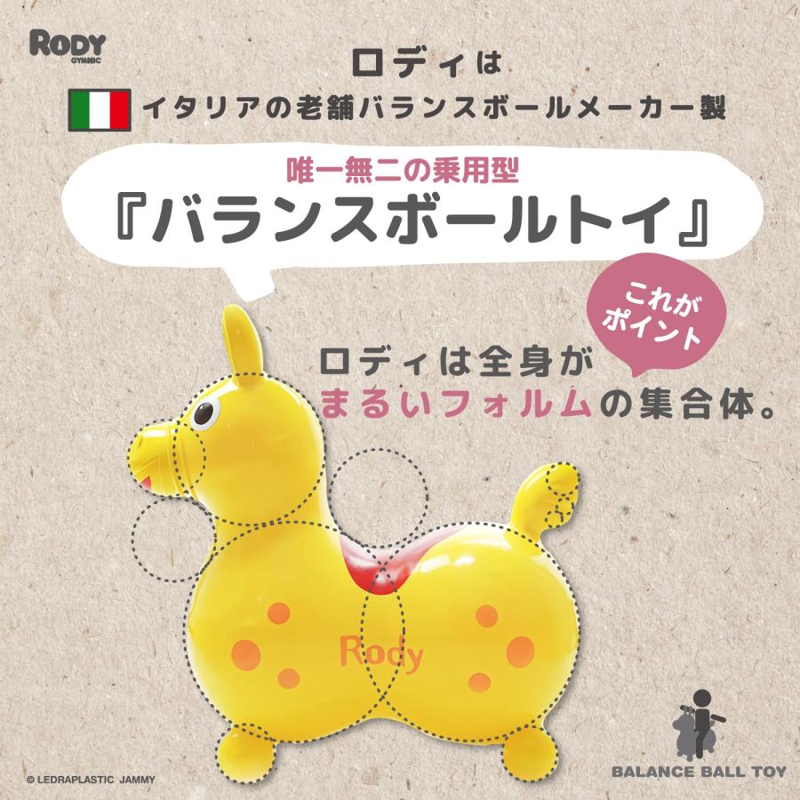 ロディ（RODY） 【公式】 『専門家推薦』体幹・バランス感覚を育てる