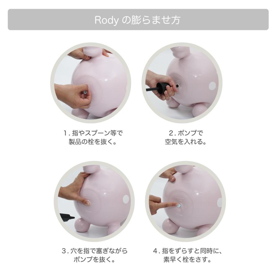 ロディ（RODY） 【ロディ公式】 正規輸入代理店 『専門家推薦