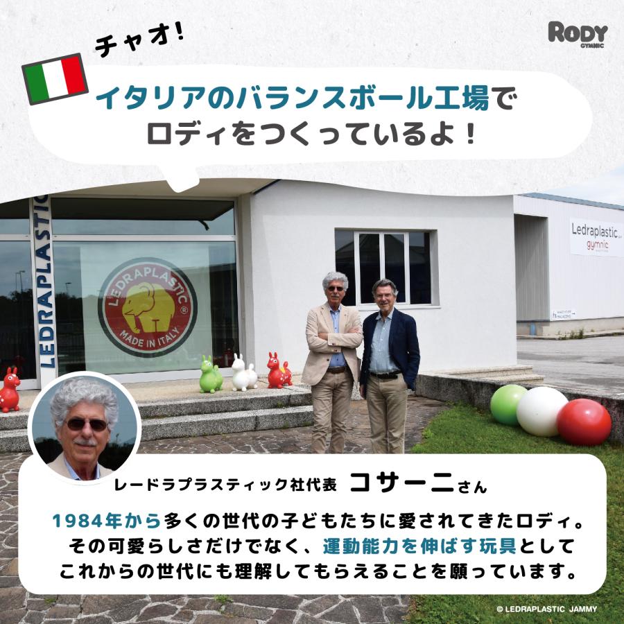 【ロディ公式】 正規輸入代理店 『専門家推薦』バランスボールトイ   ninonino  誕生日 乗用玩具  Rody プレゼントの画像