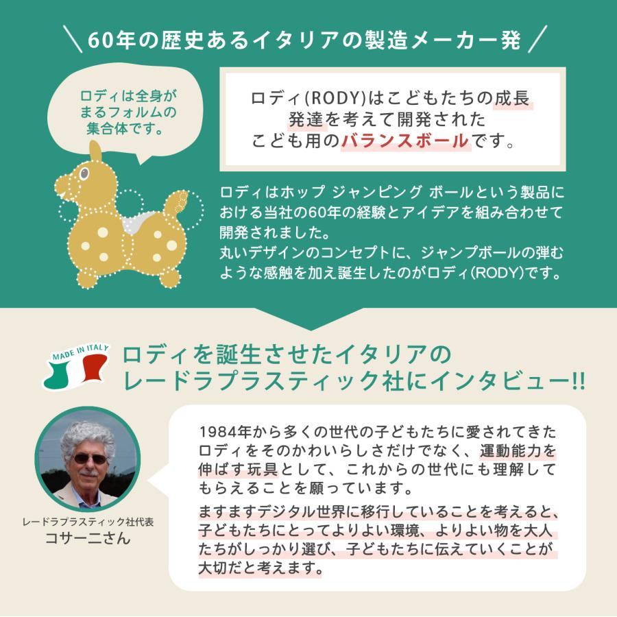 ロディ（RODY） 【公式】『専門家推薦』体幹・バランス感覚を育てる