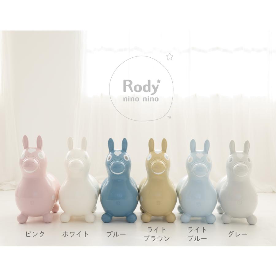 まとめて販売　ロディ ロディ（RODY） 【期間限定ラッピング巾着付】【公式】『専門家推薦