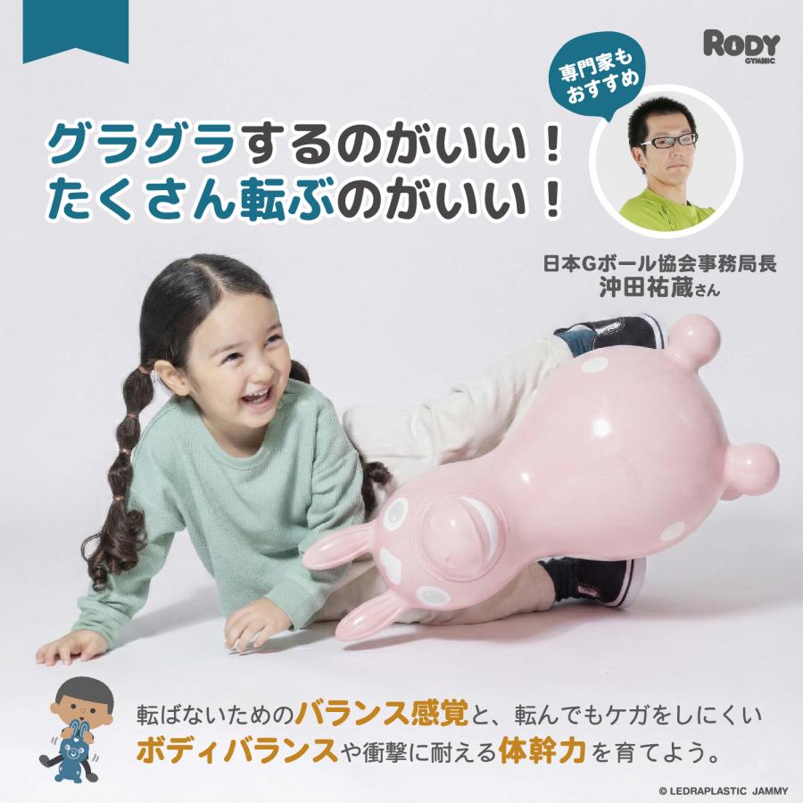 ロディ（RODY） 【公式】 『専門家推薦』体幹・バランス感覚を育てる