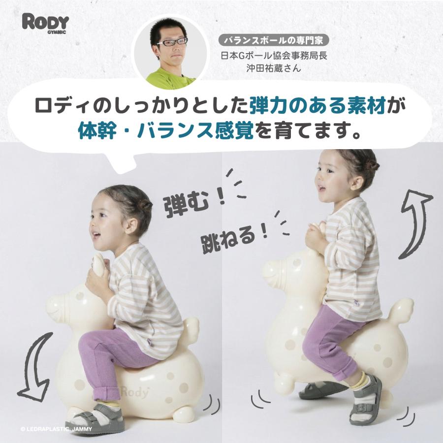 ロディ（RODY） 【公式】 『専門家推薦』体幹・バランス感覚を育てる