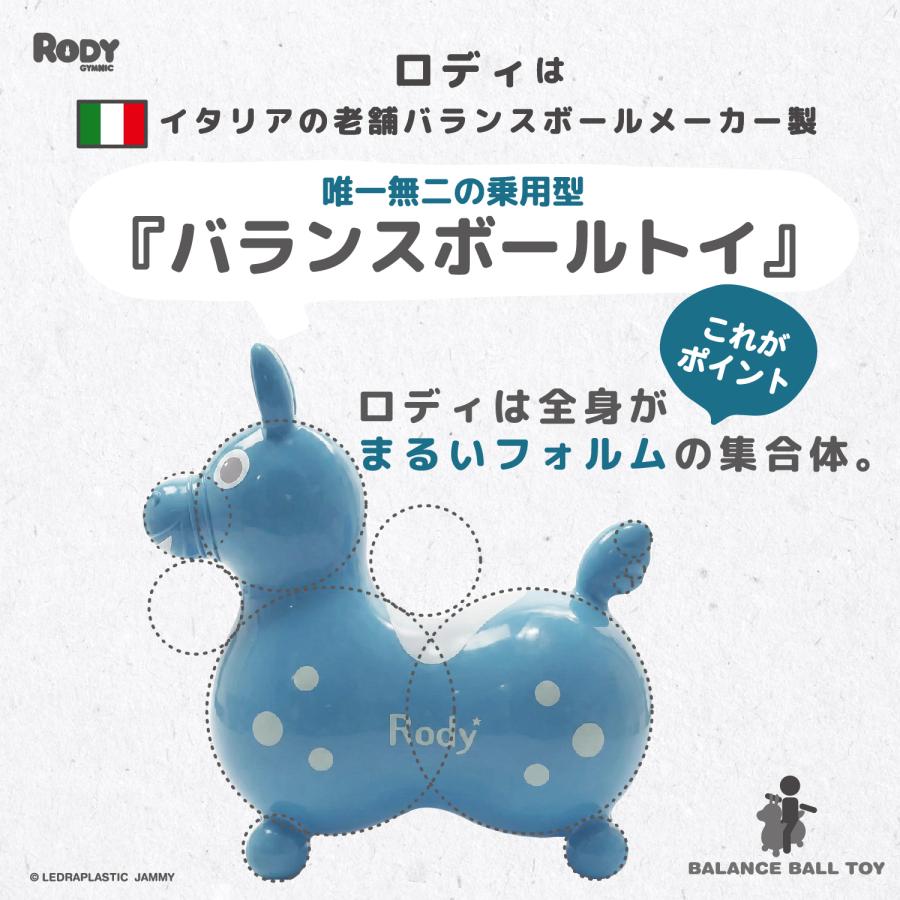 ロディ（RODY） 【公式】 『専門家推薦』体幹・バランス感覚を育てる