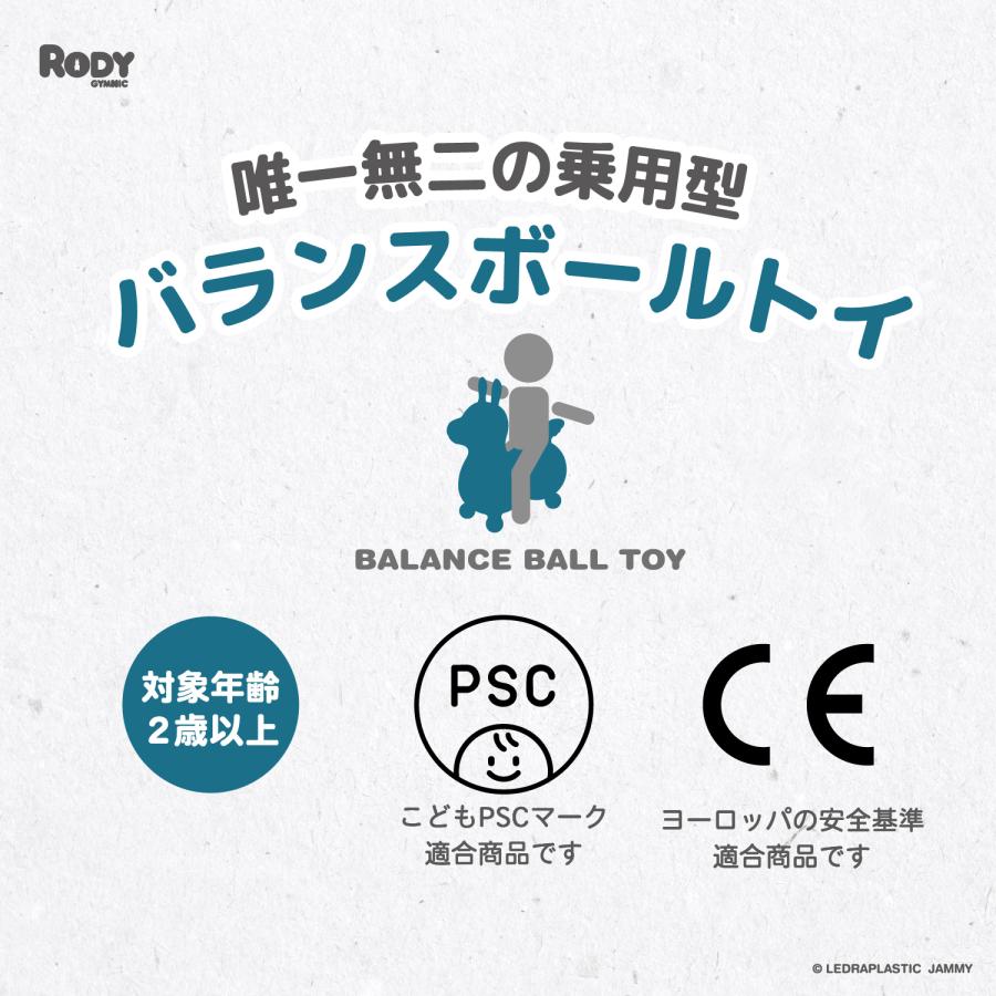 ロディ（RODY） 【公式】 『専門家推薦』体幹・バランス感覚を育てる