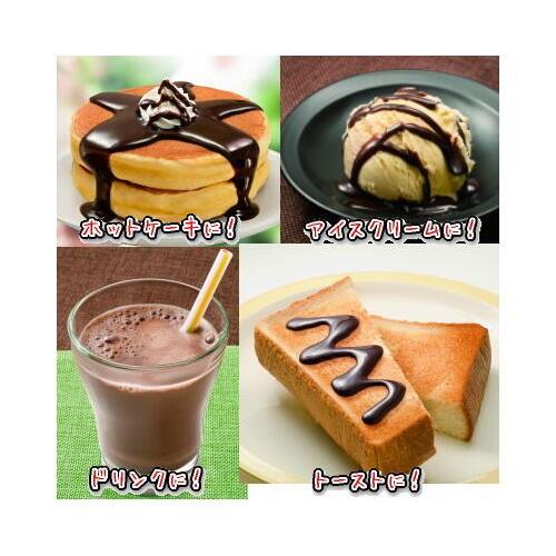 シロップ ボトルタイプ チョコレート カンピー チョコレート