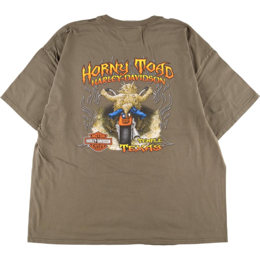 古着 ヘインズ Hanes Harley-Davidson ハーレーダビッドソン 両面プリント モーターサイクル バイクTシャツ メンズXXL /eaa348956｜jamtrading1｜02