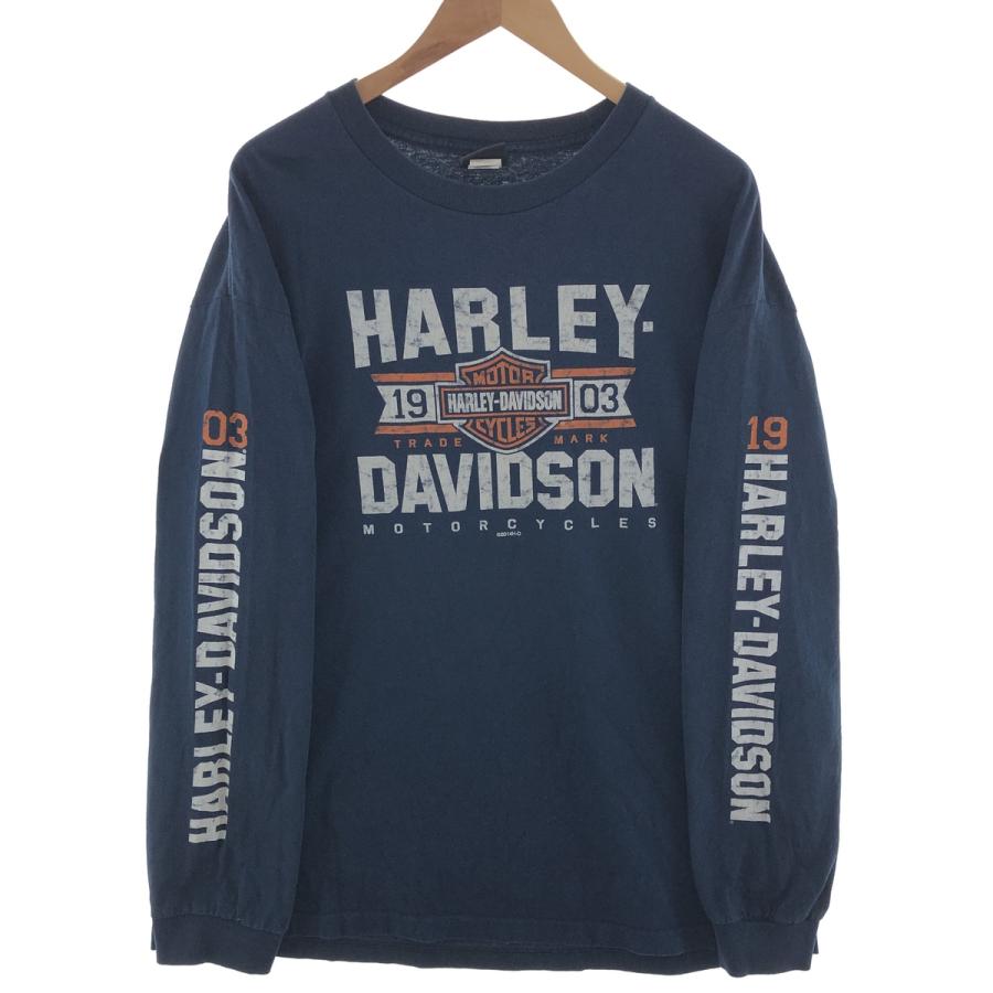 古着 ハーレーダビッドソン Harley-Davidson ロングTシャツ ロン