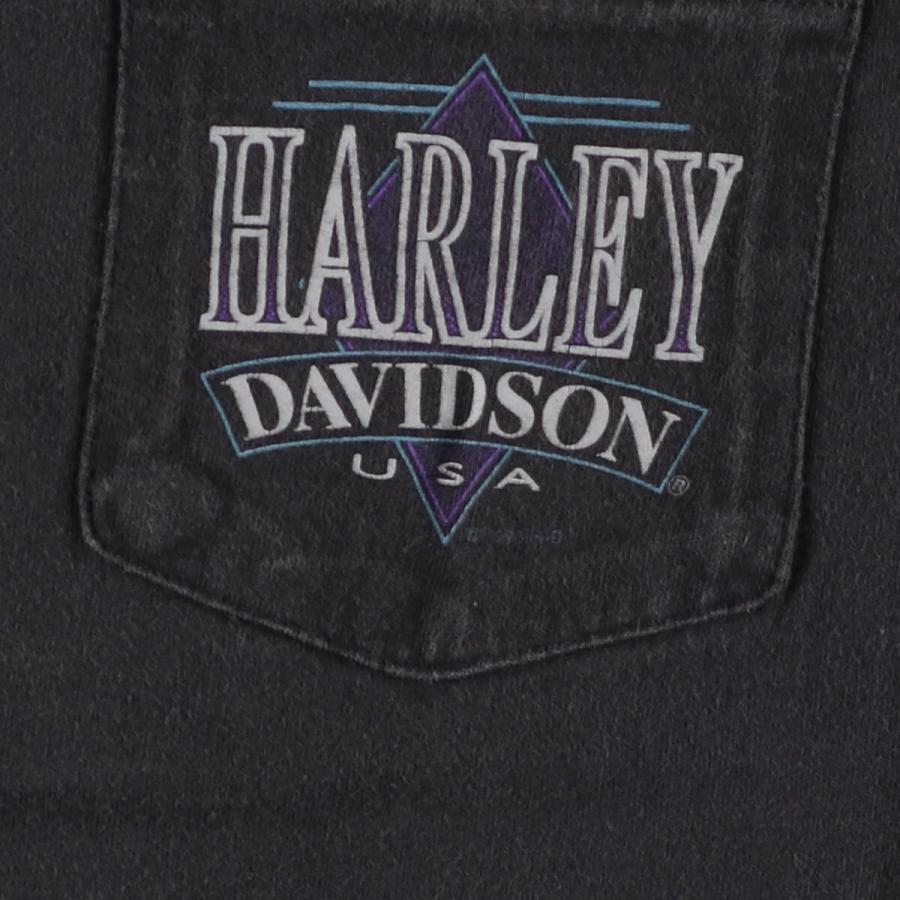 古着 ヘインズ Hanes Harley-Davidson ハーレーダビッドソン モーターサイクル バイクTシャツ USA製 メンズL /eaa440642｜jamtrading1｜04