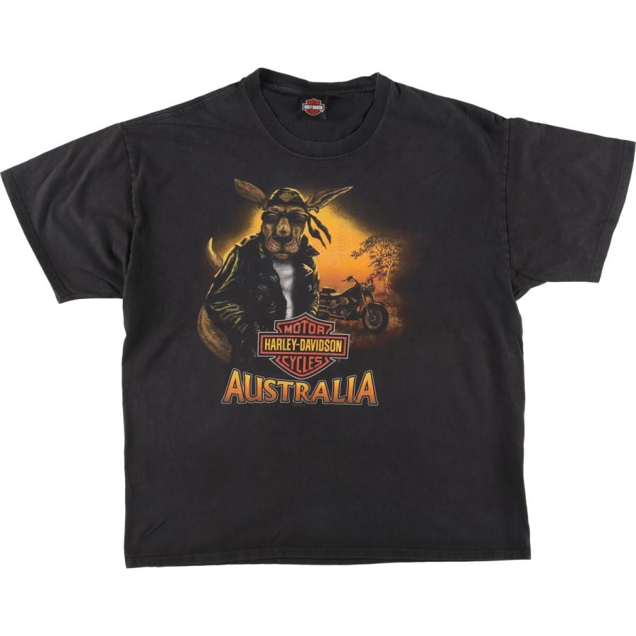 古着 ハーレーダビッドソン Harley-Davidson Hanes ヘインズ アニマル  