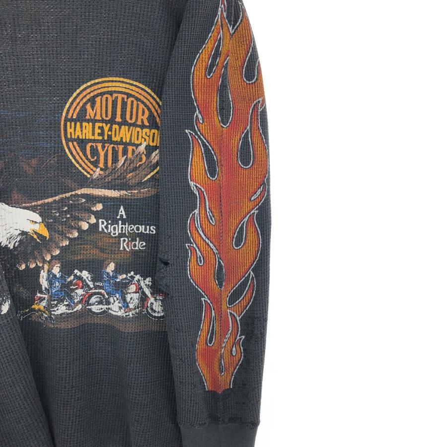 古着 90年代 ハーレーダビッドソン Harley-Davidson ファイヤー