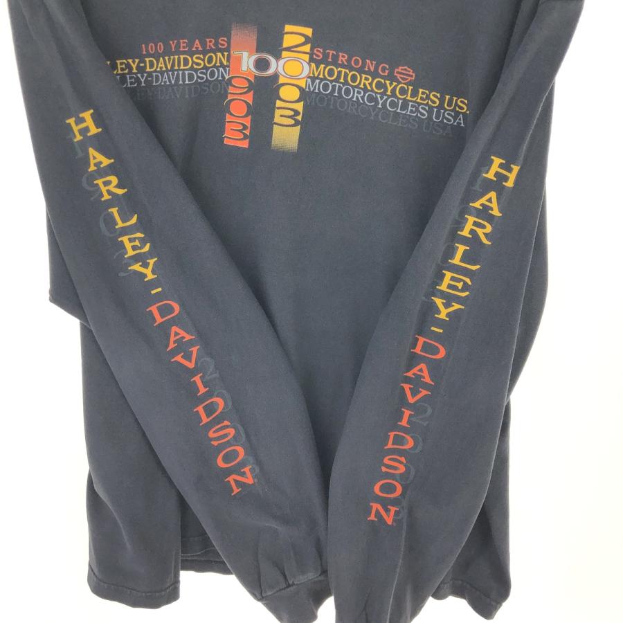 古着 00年代 ハーレーダビッドソン Harley-Davidson HANES ロングT