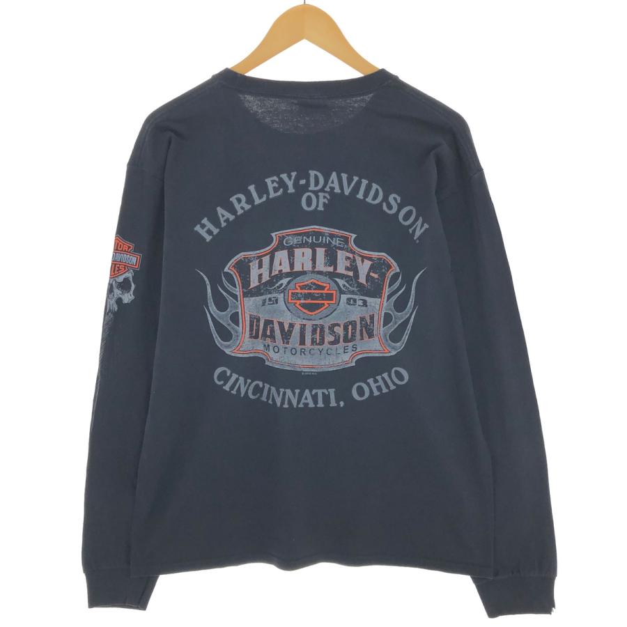 古着 ハーレーダビッドソン Harley-Davidson ロングTシャツ ロンT