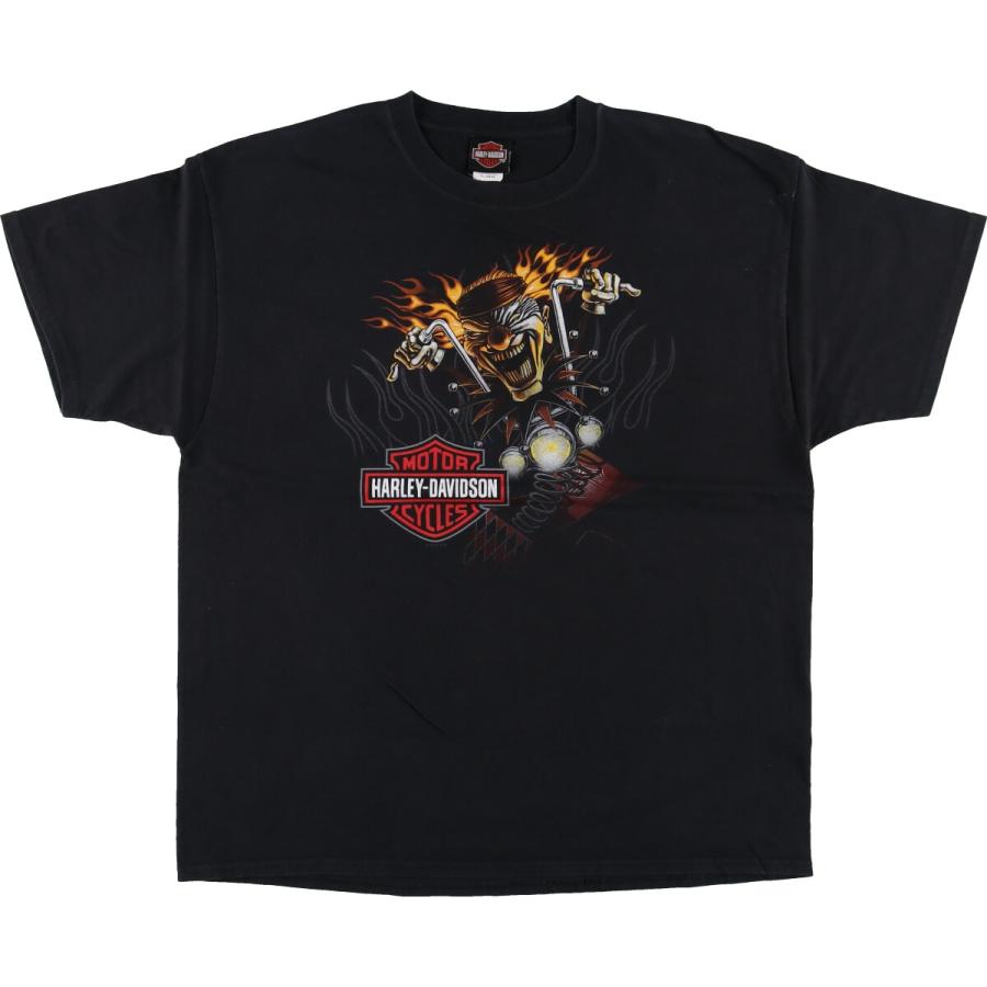 Harley-Davidson 00s　2005 ハーレー Hanes製 古着 00年代 ハーレーダビッドソン Harley-Davidson Hanes