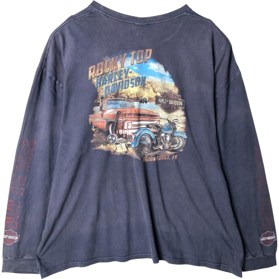 古着 ビッグサイズ ハーレーダビッドソン Harley-Davidson ロングT