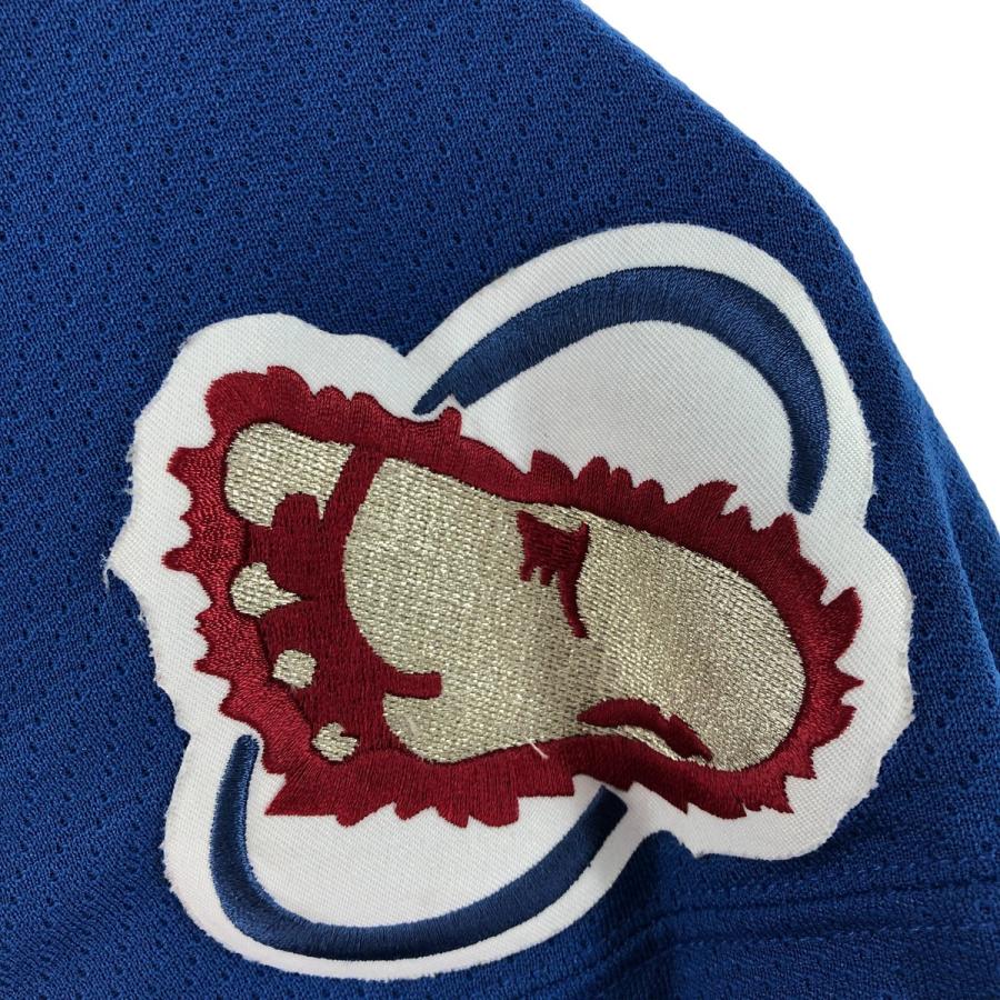 古着 90年代 CCM NHL コロラドアバランチ Vネック メッシュ ゲーム