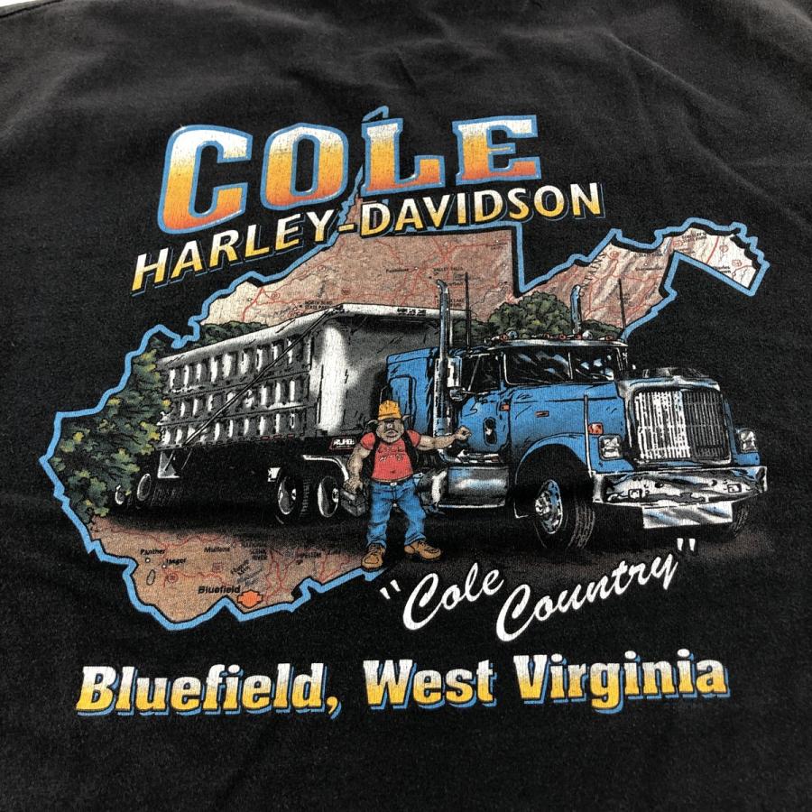 古着 ハーレーダビッドソン Harley-Davidson モーターサイクル バイクT  