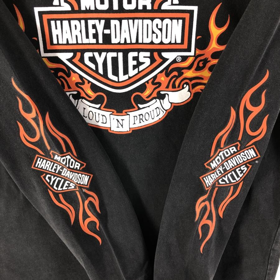 古着 ハーレーダビッドソン Harley-Davidson ファイヤーパターン  