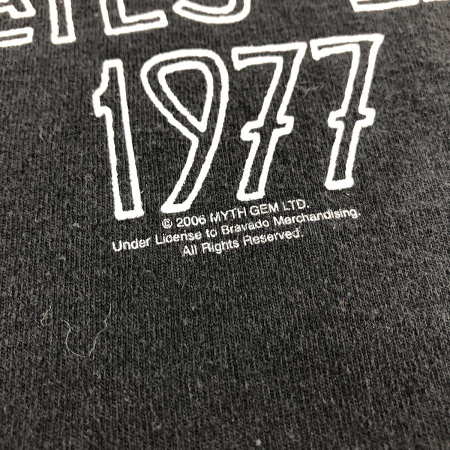 Hanes（ヘインズ） 古着 Hanes HEAVYWEIGHT LED ZEPPELIN レッド