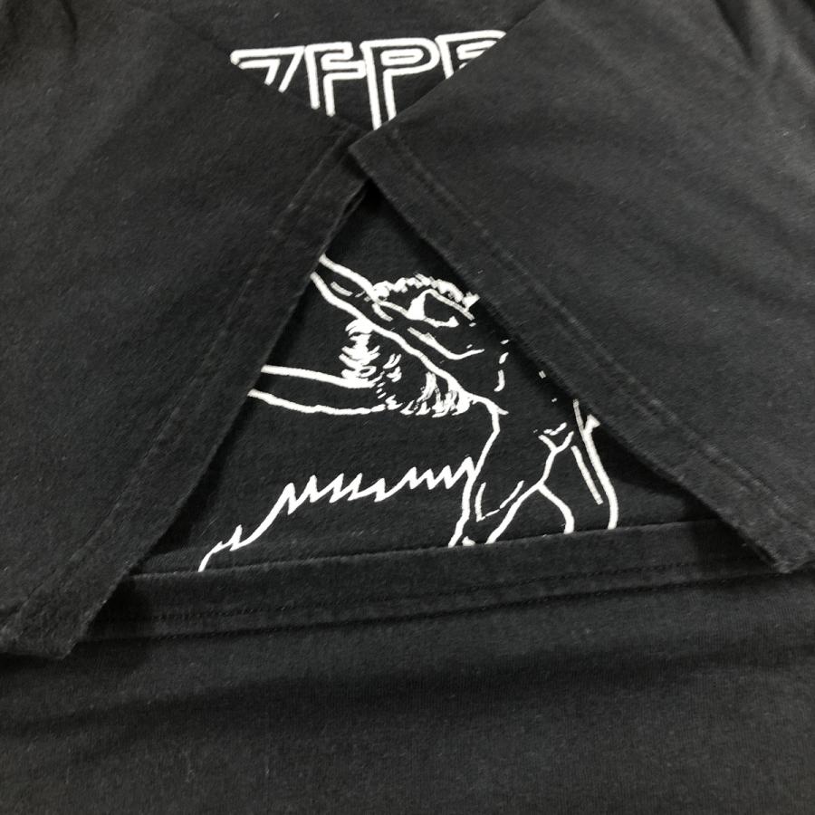 Hanes（ヘインズ） 古着 Hanes HEAVYWEIGHT LED ZEPPELIN レッド