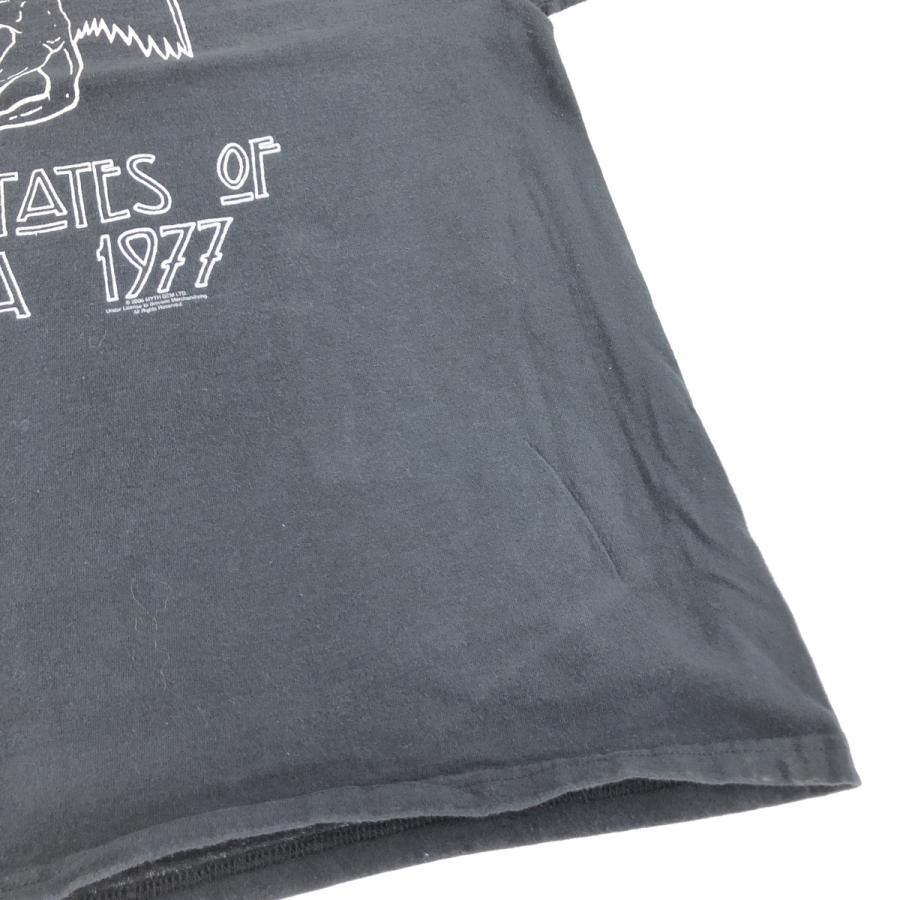 Hanes（ヘインズ） 古着 Hanes HEAVYWEIGHT LED ZEPPELIN レッド