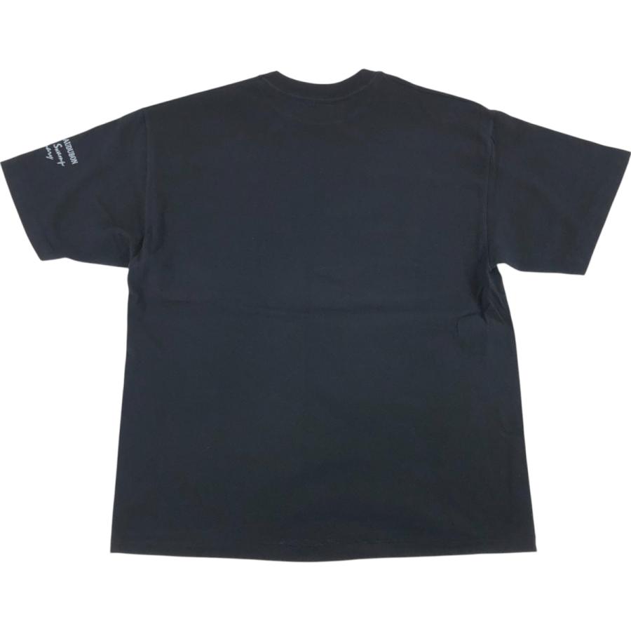 Hanes（ヘインズ） 古着 90年代 Hanes BEEFY-T カエル柄 アニマルT 