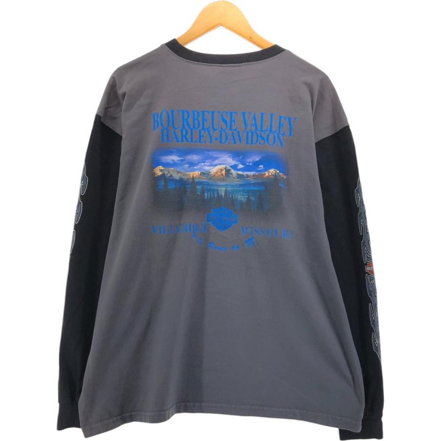 Harley-Davidson ハーレーダビットソン　トライバル　ロンT 古着 00年代 ハーレーダビッドソン Harley-Davidson トライバル